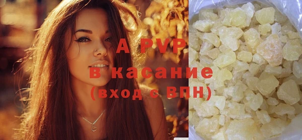 PSILOCYBIN Абаза
